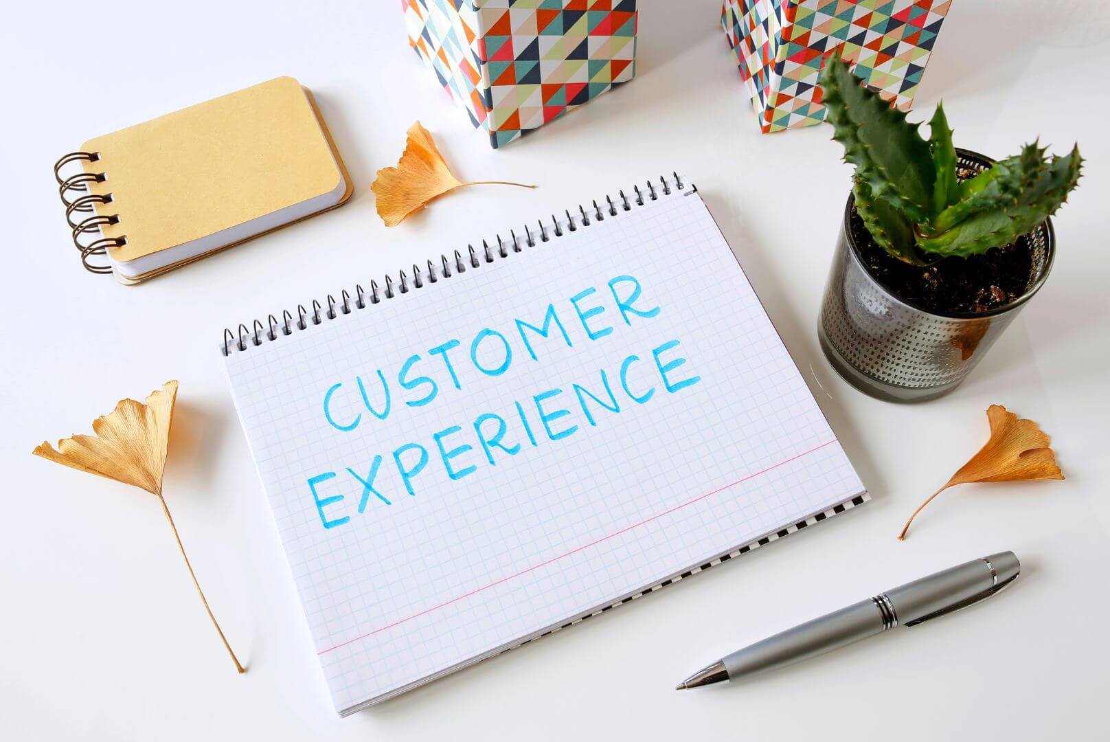 Why Customer Experience Transformation Is the Future of Business